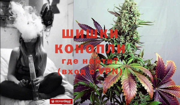 ГАЛЛЮЦИНОГЕННЫЕ ГРИБЫ Каменногорск