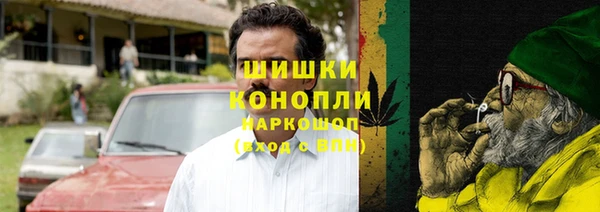 ГАЛЛЮЦИНОГЕННЫЕ ГРИБЫ Каменногорск
