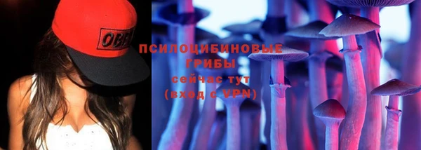 ГАЛЛЮЦИНОГЕННЫЕ ГРИБЫ Каменногорск